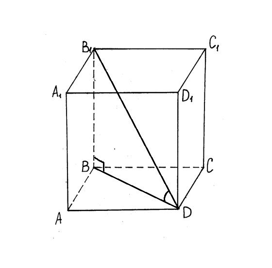 M. На рисунке 185 изображен прямоугольный параллелепипед. На рисунке 8 изображена прямоугольник параллелепипед. На рисунке 185 изображен прямоугольный параллелепипед. На рисунке изображен прямоугольный параллелепипед.