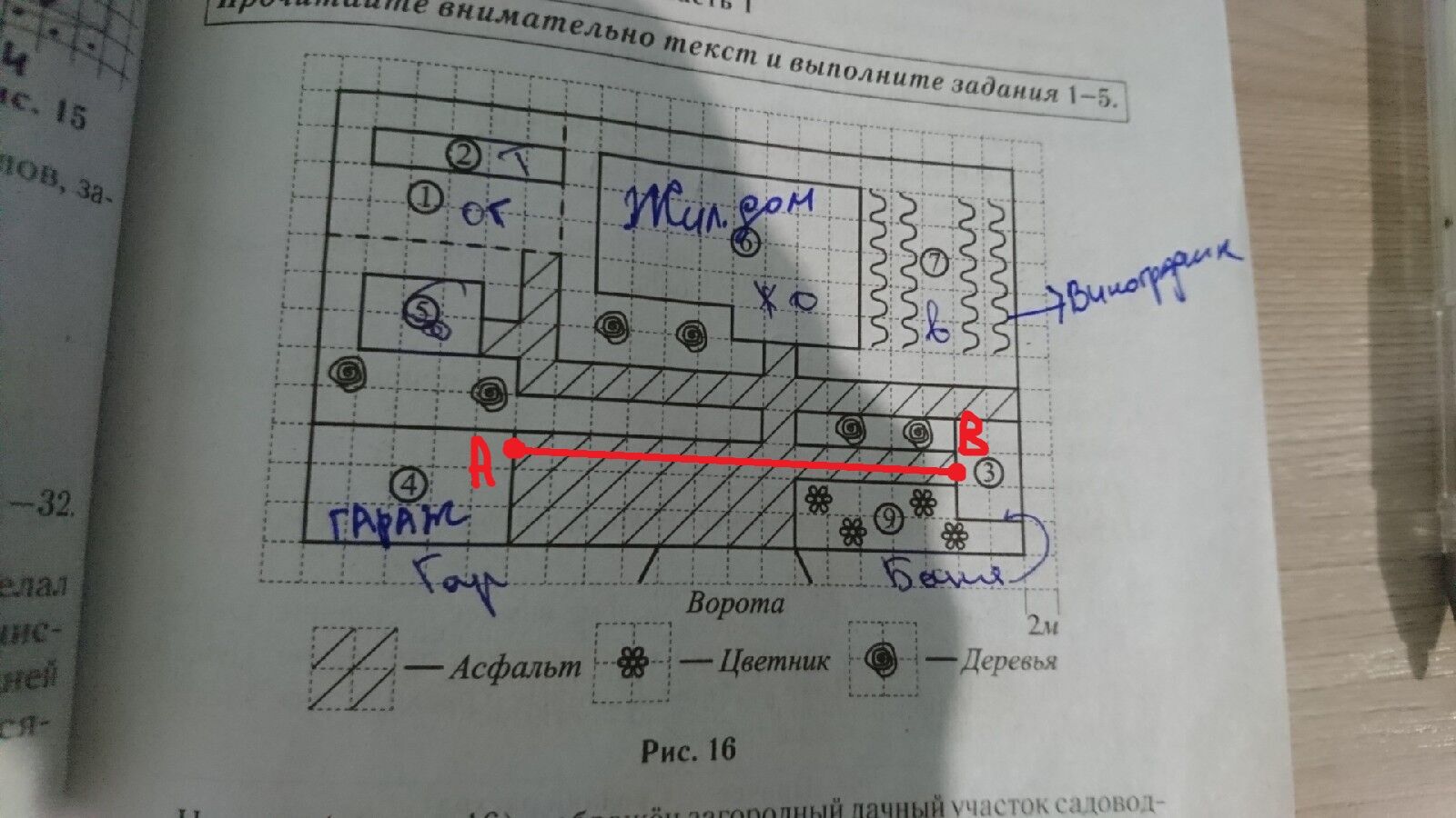 Площадь которую занимает огород