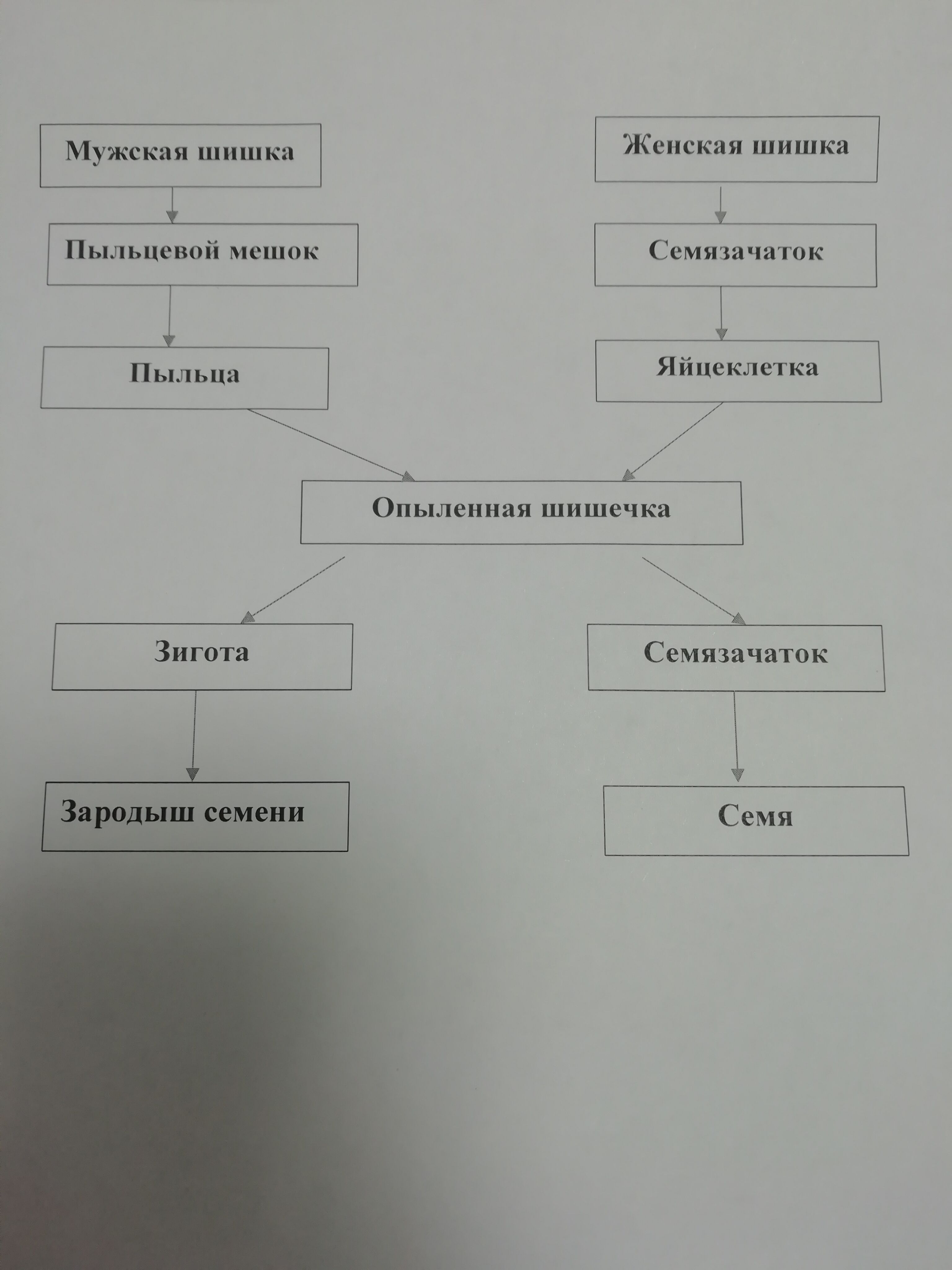 Заполните пропуски в схеме отрасли права