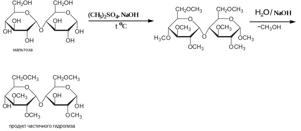 Схема реакции гидролиза сахарозы