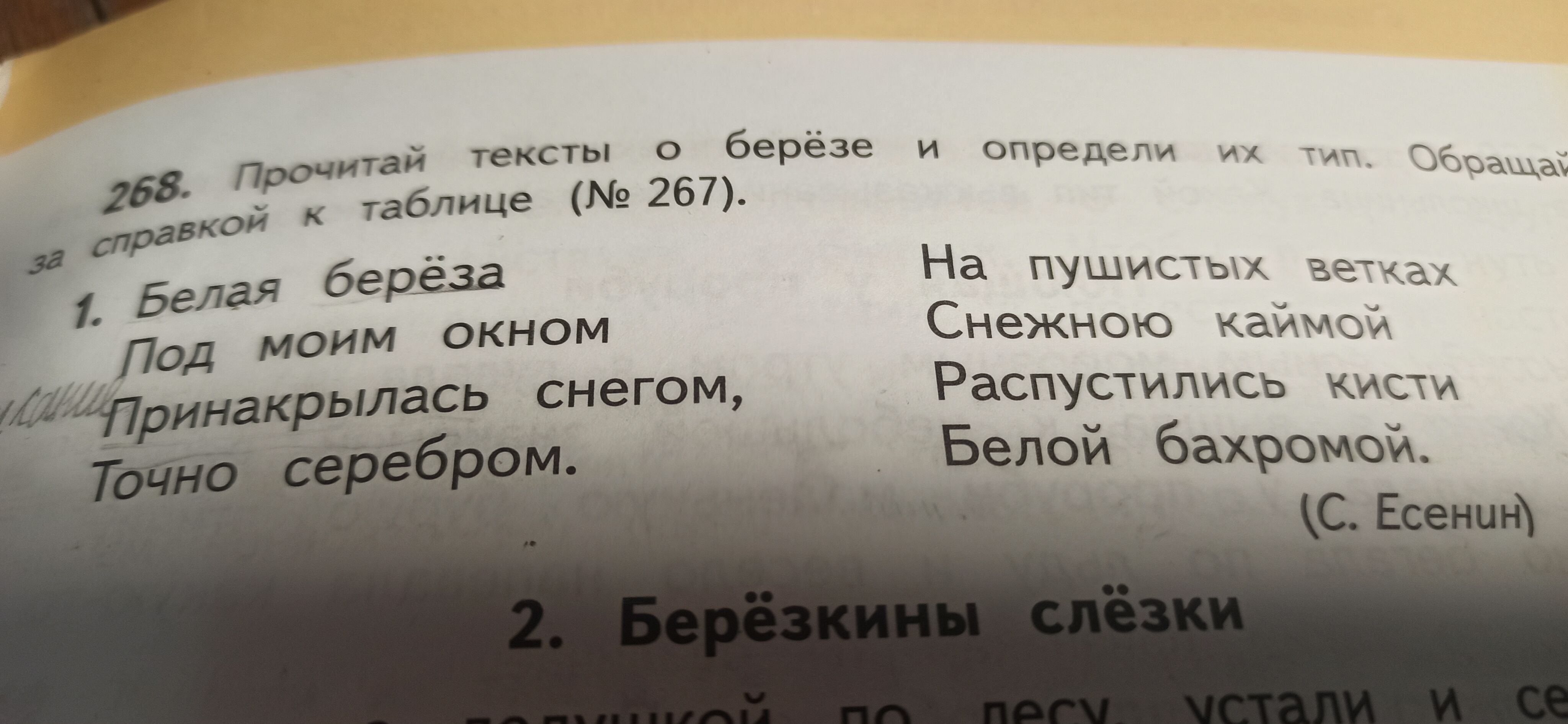 зашумел в лесу золотой дождь заменить слово золотой на однородные члены фото 60