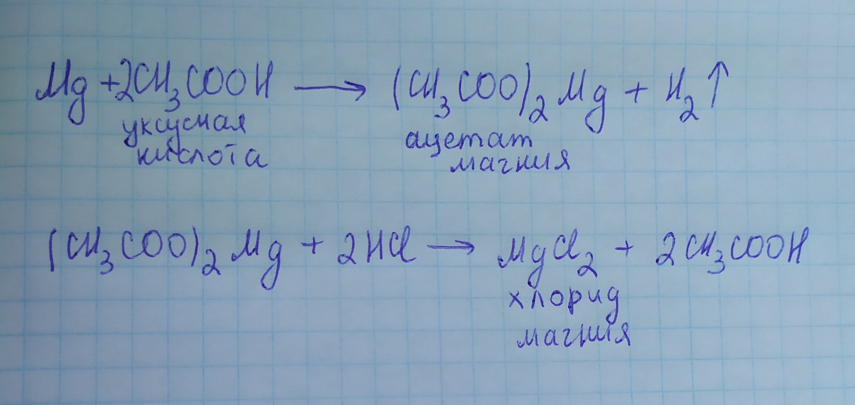 Ацетат магния и гидроксид калия. Уравнения реакций получения хлорида магния. Уравнение реакций получения ацетата магния. Получения ацетата магния реакции. Хлорид магния уравнение реакции.