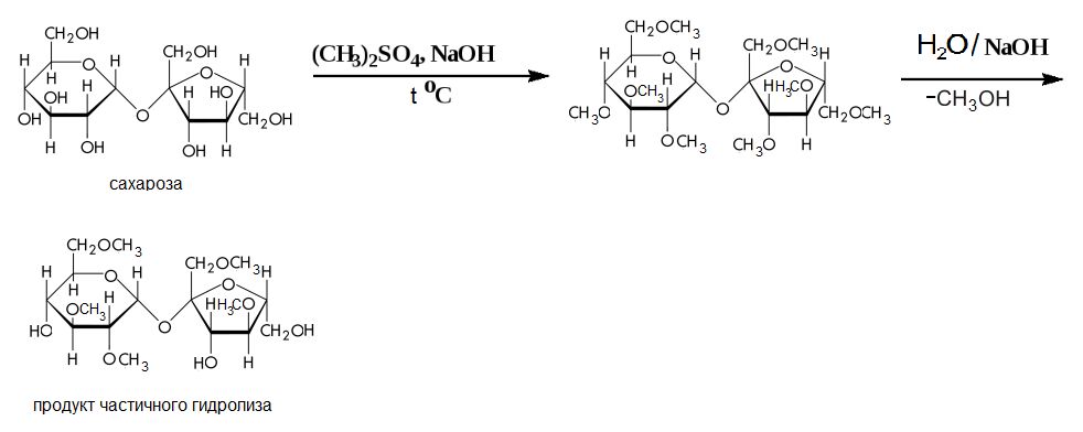 Схема реакции гидролиза сахарозы