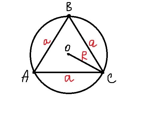 Найдите длину окружности описанной около правильного треугольника. Окружность описанная около правильного треугольника. Окружность описанная вокруг правильного треугольника. Радиус описанной около правильного треугольника. Окружностьвписаннаяоколо правильного треугольника.